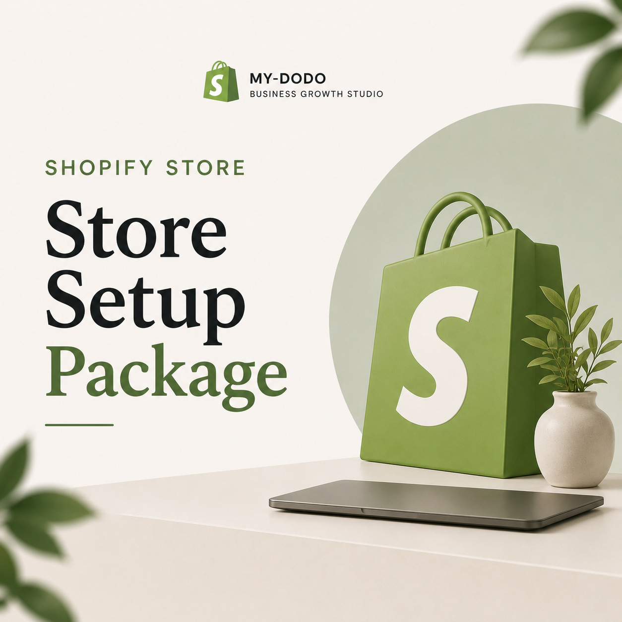 Shopify Store Setup